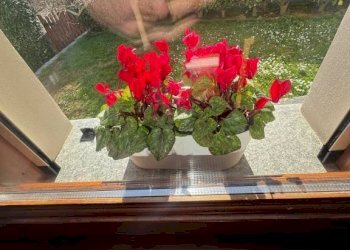 Dettagli - Villa a Schiera via 25 Aprile, 91, Zumaglia - foto 20