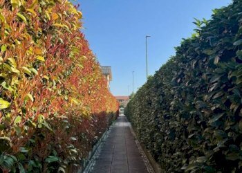 Vista - Two-room apartment via Giovanni Amendola, 16, Chieri - photo 15