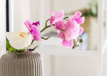 Altro - Bilocale via Domenico Millelire, 16, Milano - foto 45