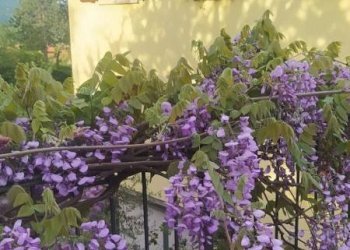 Facciata - Four-room apartment via Ginetta Chirici, Monzuno - photo 4