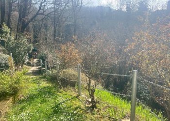 Dettagli - Three-room apartment via Ginetta Chirici, Monzuno - photo 22