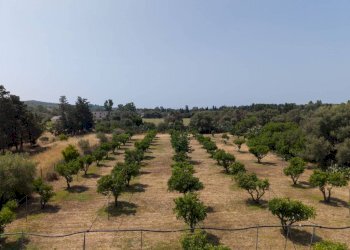 Terreno - Villa via delle More, Quartucciu - photo 8
