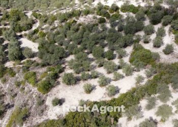 Terreno - Agricultural land Loc Santa Barbara, Sorso - photo 4