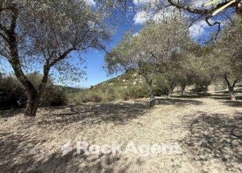 Terreno - Agricultural land Loc Santa Barbara, Sorso - photo 7