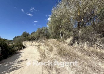 Terreno - Agricultural land Loc Santa Barbara, Sorso - photo 9