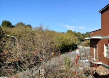 Vista - Trilocale via Flaminia, 124, Rignano Flaminio - foto 37