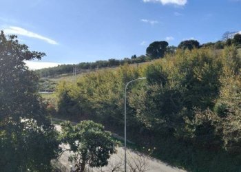 Vista - Trilocale via Flaminia, 124, Rignano Flaminio - foto 38