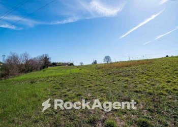 Terreno - Terreno agricolo Località Carignano, Fano - foto 7