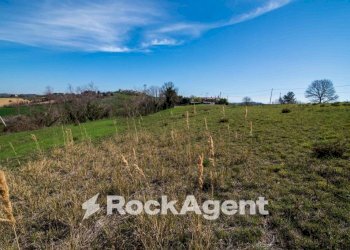 Terreno - Terreno agricolo Località Carignano, Fano - foto 8