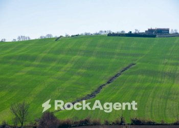 Terreno - Terreno agricolo Località Carignano, Fano - foto 10