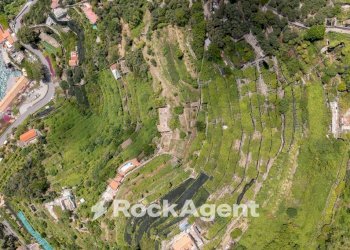 Mappa - Terreno agricolo via Torretta a Marmorata, Ravello - foto 29