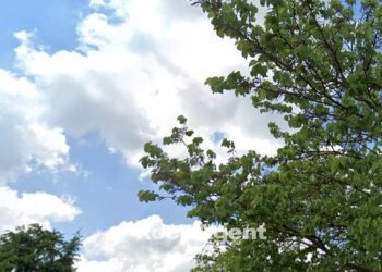 Terreno - Villa via Panzacchi, 3, San Giovanni in Persiceto - foto 20