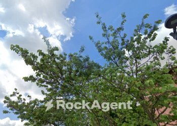 Terreno - Villa via Panzacchi, 3, San Giovanni in Persiceto - foto 22