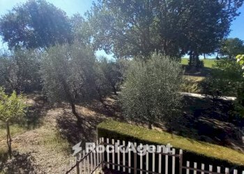 Terreno - Villa Frazione Sant'Apollinare, 118, Arcevia - foto 7