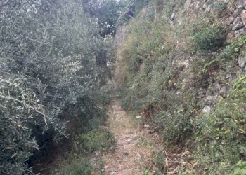 Terreno - Rustic via Torello, Ravello - photo 18