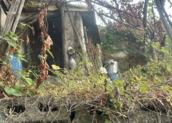 Terreno - Rustic via Torello, Ravello - photo 19