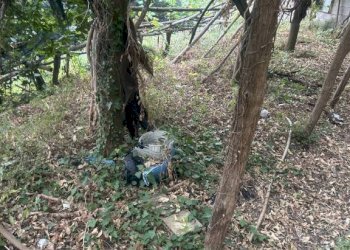 Terreno - Rustic via Torello, Ravello - photo 20