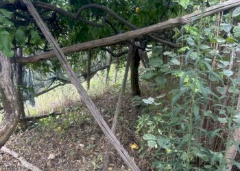 Terreno - Rustic via Torello, Ravello - photo 25