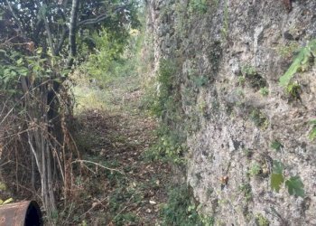 Terreno - Rustic via Torello, Ravello - photo 29