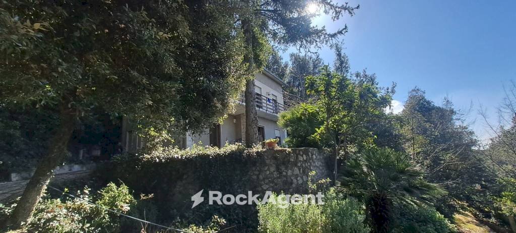 Giardino - Villa via Pineta, 12, Poggio Catino - foto 2