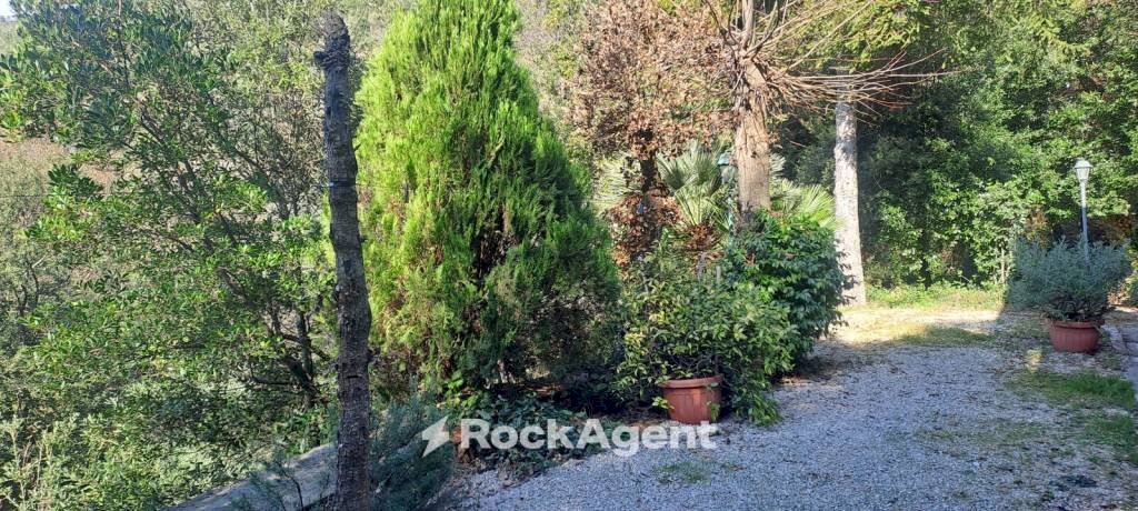 Giardino - Villa via Pineta, 12, Poggio Catino - foto 3