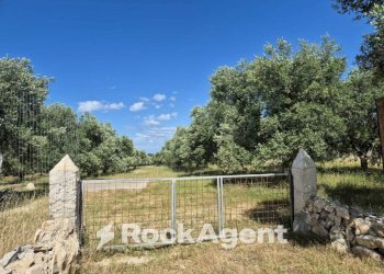 Terreno - Rustico viale Pandolfelli, Andria - foto 8