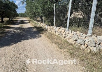 Terreno - Rustico viale Pandolfelli, Andria - foto 12
