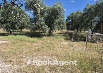 Terreno - Rustico viale Pandolfelli, Andria - foto 15