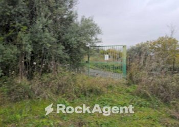 Terreno - Casa indipendente Farri Superiore, Grotteria RC, Grotteria - foto 18