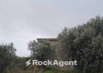 Terreno - Casa indipendente Farri Superiore, Grotteria RC, Grotteria - foto 19