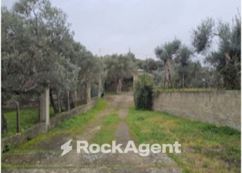 Terreno - Appartamento Farri Superiore, Grotteria RC, Grotteria - foto 12