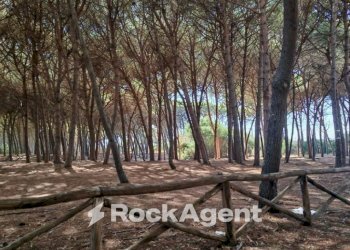 Terreno - Ufficio contrada Colamaio, Pizzo - foto 4