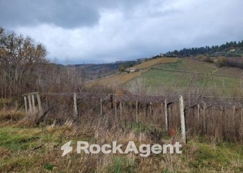 Terreno - Rustic contrada Serepenne, Villamagna - photo 20