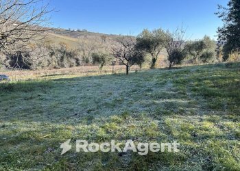 Terreno - Rustic contrada Serepenne, Villamagna - photo 34