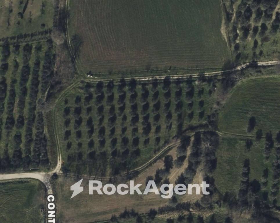 Mappa - Agricultural land contrada Santa Lucia, Altavilla Silentina - photo 1