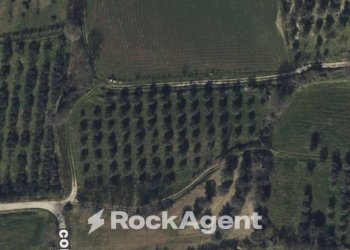 Mappa - Terreno agricolo contrada Santa Lucia, Altavilla Silentina - foto 1