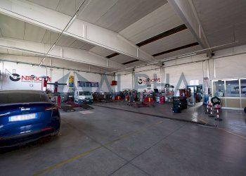 Interno non residenziale - Capannone via Duccio Galimberti, Finale Emilia - foto 3