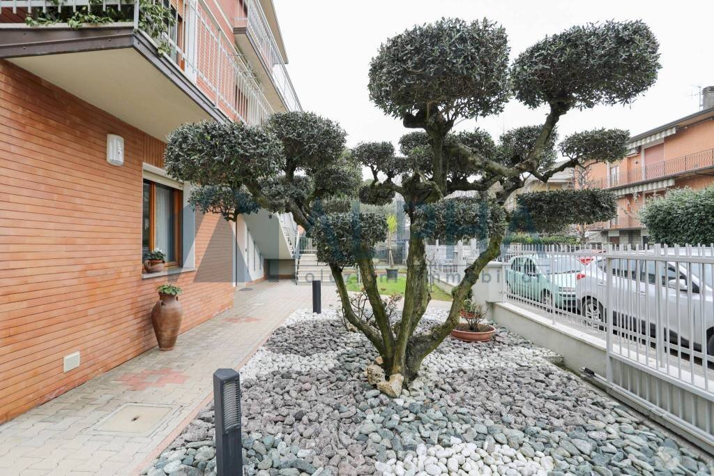 Giardino - Four-room apartment via Torquato Nanni, Forlì - photo 2