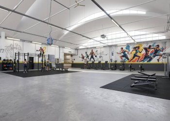 Interno non residenziale - Capannone via Domenico Lama, 18, Faenza - foto 3