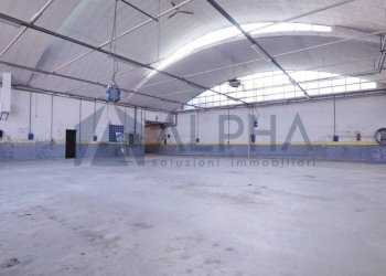 Interno non residenziale - Capannone via Domenico Lama, 18, Faenza - foto 4