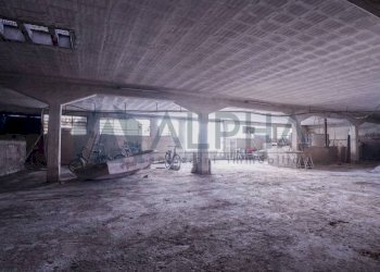 Interno non residenziale - Capannone via Domenico Lama, 18, Faenza - foto 33