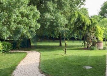 Giardino - Villa via Gambellara, Ravenna (neighborhood San Pietro in Vincoli) - photo 36