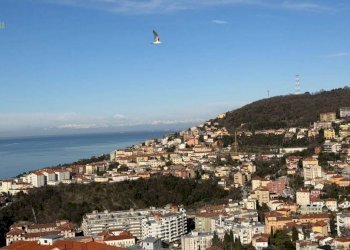 Vista - One-room apartment via Ovidio, 5, Trieste - photo 16