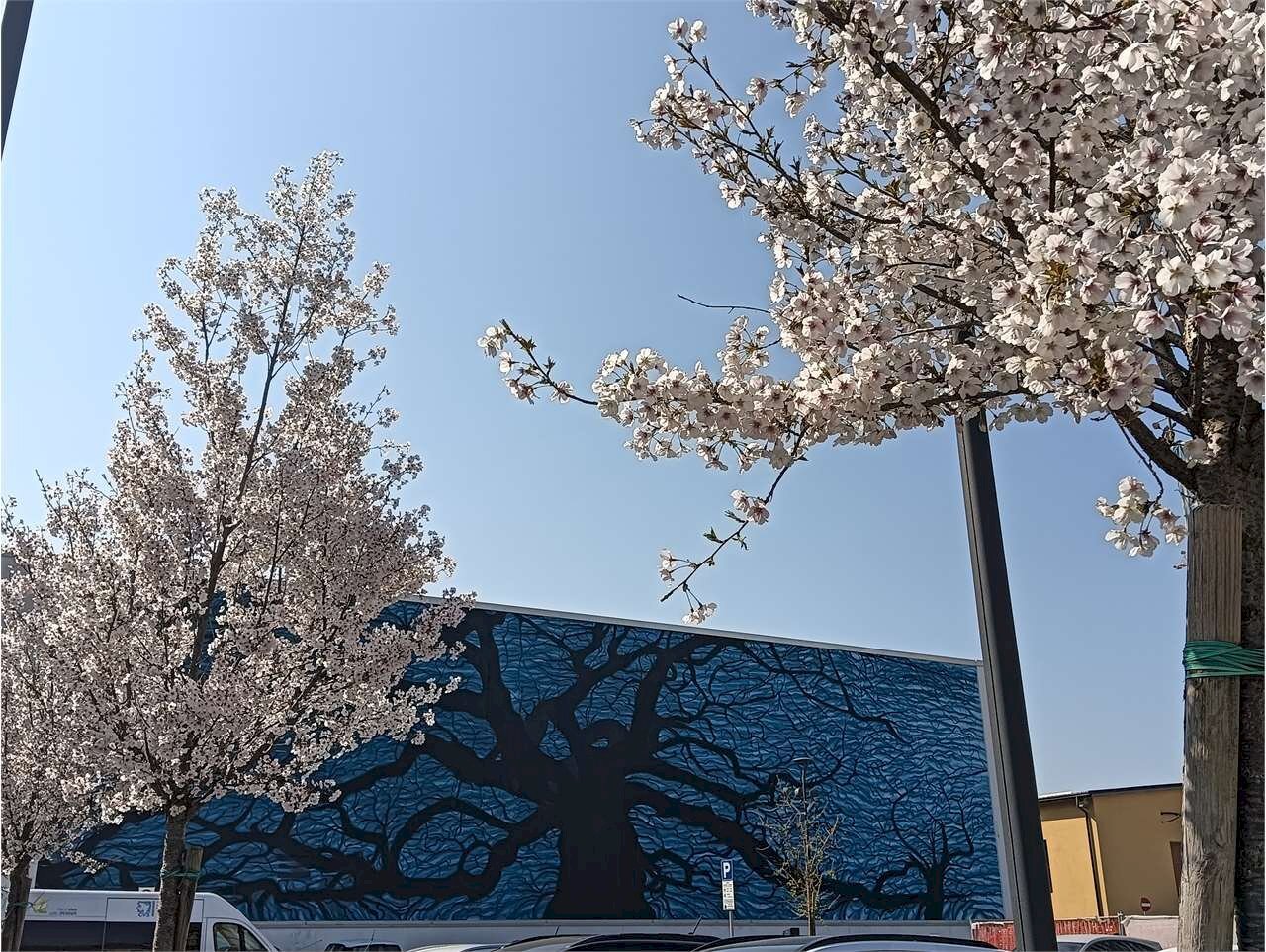 Villa Trifamiliare Modena (zona Morane - Contrada) - foto 2