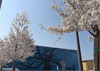 Three-family Villa Modena (neighborhood Morane - Contrada) - photo 2