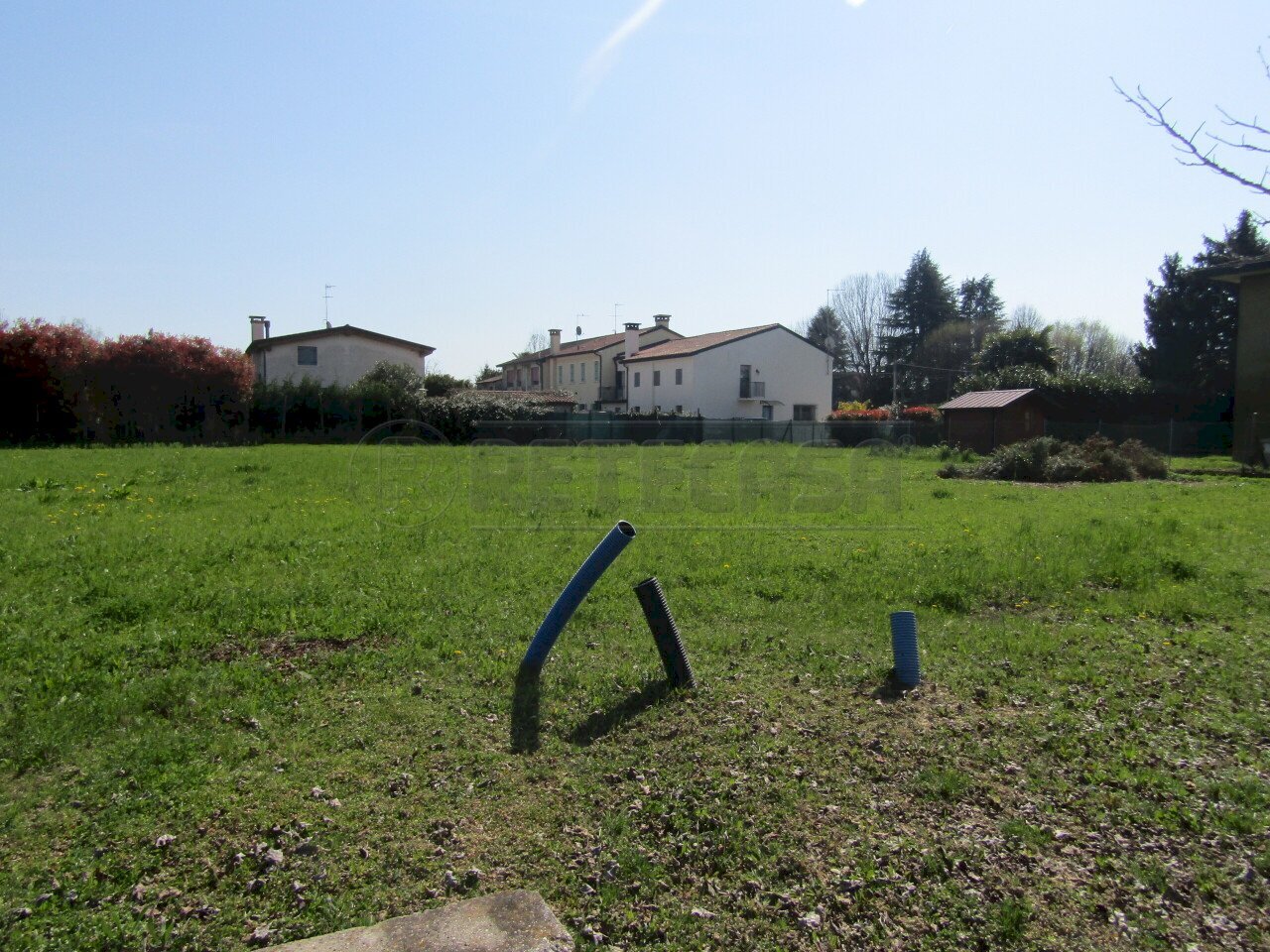 IMG_8296.JPG - Terreno edificabile Villanova di Camposampiero - foto 2
