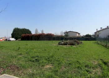 IMG_8294.JPG - Terreno edificabile Villanova di Camposampiero - foto 1