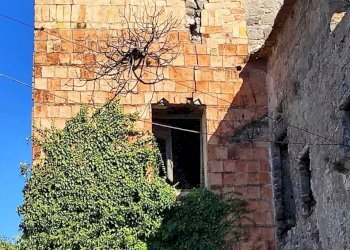 WhatsApp Image 2026-03-23 at 10.28.26 (1).jpeg - Stable - Palace Fisciano - photo 2