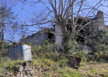 WhatsApp Image 2026-03-23 at 10.28.27 (3).jpeg - Stable - Palace Fisciano - photo 6