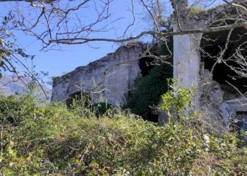 WhatsApp Image 2026-03-23 at 10.28.27 (4).jpeg - Stable - Palace Fisciano - photo 7